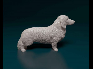Dachshund Long-haired Model Cetak 3D