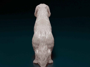 Dachshund Long-haired Model Cetak 3D