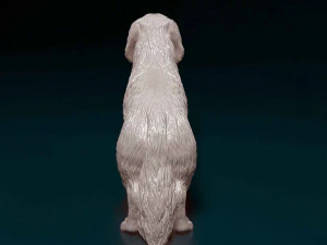Dachshund Long-haired 3D Print Model