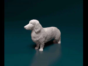 Dachshund Long-haired 3D Print Model
