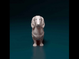Dachshund Long-haired Model Cetak 3D