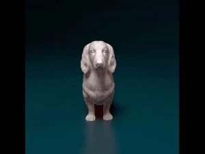 Dachshund Long-haired 3D Print Model