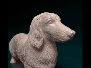 Dachshund Long-haired Model Cetak 3D