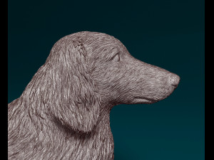 Dachshund Long-haired Model Cetak 3D