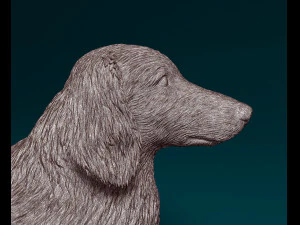 Dachshund Long-haired 3D Print Model