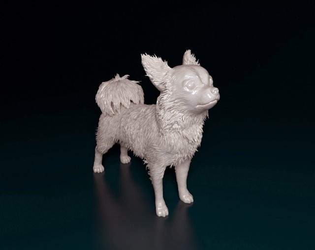 Chihuahua Long-haired 3D 打印模型 .c4d .max .obj .3ds .fbx .stl .blend 