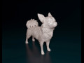 Chihuahua Long-haired 3D प्रिंट मॉडल