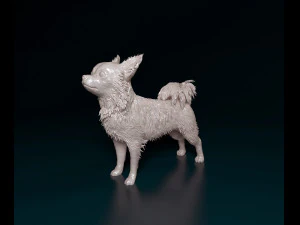 Chihuahua Long-haired 3D Print Model
