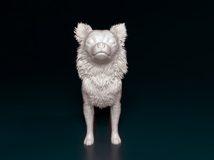 Chihuahua Long-haired 3D 打印模型