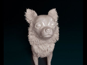 Chihuahua Long-haired 3D 打印模型