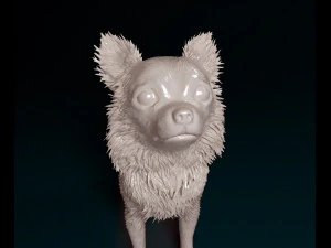 Chihuahua Long-haired 3D Print Model