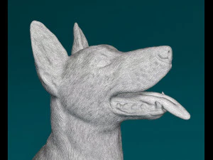 Malinois dog 3D Print Model