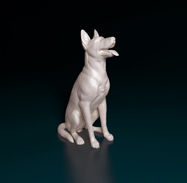 Malinois dog Modello di stampa 3D .c4d .max .obj .3ds .fbx .stl .blend 