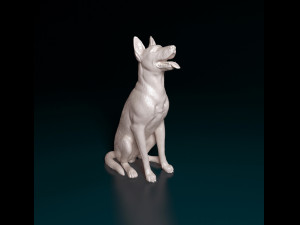 Malinois dog 3D Print Model