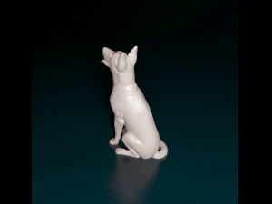 Malinois dog 3D Print Model