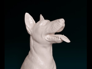 Malinois dog Modello di stampa 3D