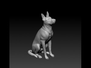 Malinois dog Modello di stampa 3D
