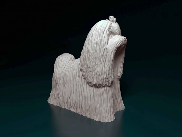 Maltese long-haired 3D प्रिंट मॉडल .c4d .max .obj .3ds .fbx .stl .blend 