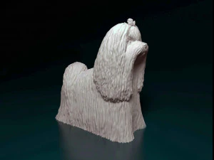 Maltese long-haired 3D Print Model