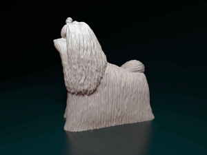 Maltese long-haired 3D प्रिंट मॉडल