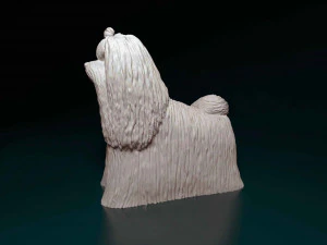 Maltese long-haired 3D Print Model