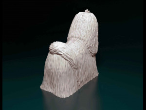 Maltese long-haired 3D प्रिंट मॉडल