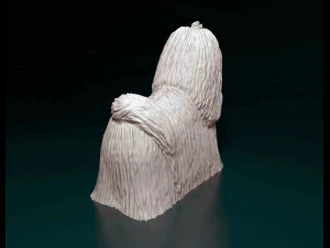 Maltese long-haired 3D Print Model
