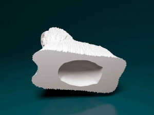 Maltese long-haired 3D प्रिंट मॉडल