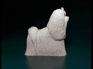 Maltese long-haired 3D प्रिंट मॉडल
