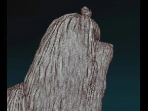 Maltese long-haired 3D Print Model