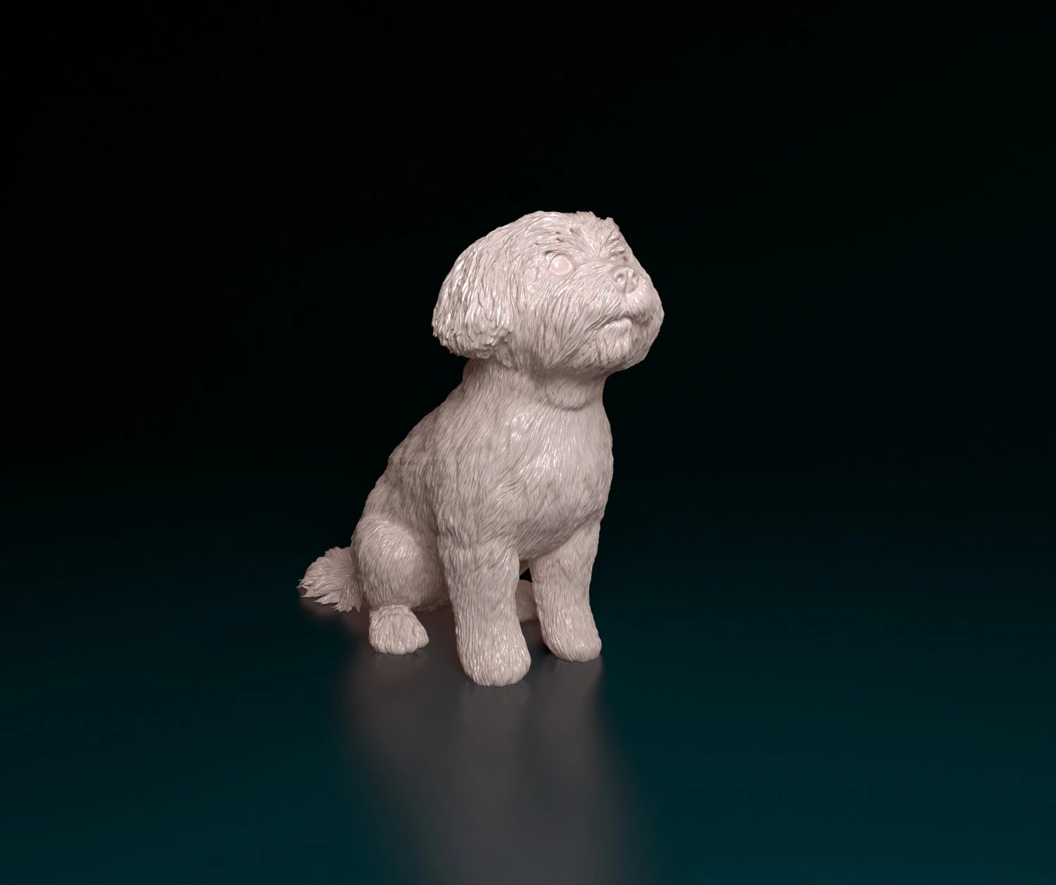 Maltese sitting 3D Print Model .c4d .max .obj .3ds .fbx .stl .blend 