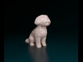 Maltese sitting 3D प्रिंट मॉडल