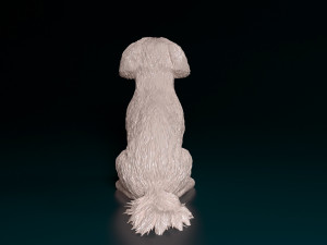 Maltese sitting Modelo de Impressão 3D