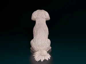 Maltese sitting 3D Print Model