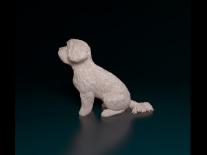 Maltese sitting Modelo de Impressão 3D