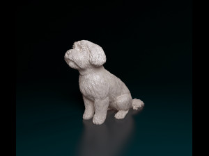 Maltese sitting Modelo de Impressão 3D
