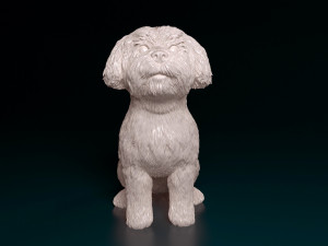 Maltese sitting Modelo de Impressão 3D