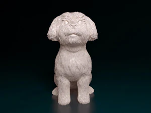 Maltese sitting 3D Print Model