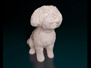 Maltese sitting 3D Print Model