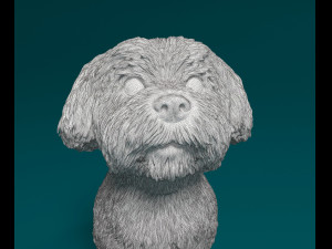 Maltese sitting Modelo de Impressão 3D