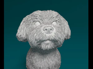 Maltese sitting 3D Print Model