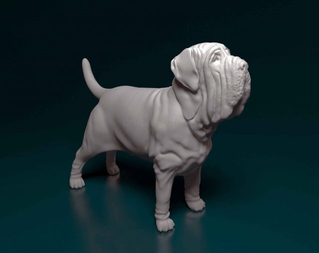 Mastino Napolitano 3D Принт Модель .c4d .max .obj .3ds .fbx .stl .blend 