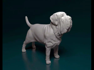 Mastino Napolitano 3D Print Model