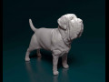 Mastino Napolitano 3D प्रिंट मॉडल