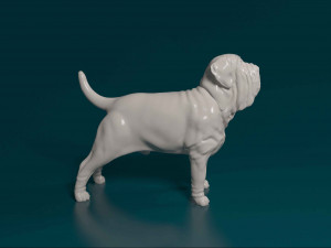 Mastino Napolitano 3D Принт Модель