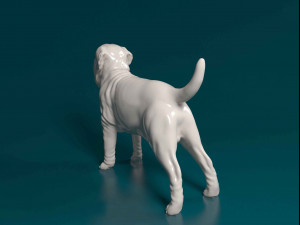 Mastino Napolitano 3D Принт Модель