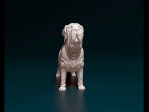 Mastino Napolitano 3D Принт Модель