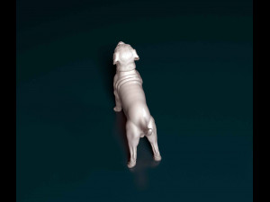 Mastino Napolitano 3D Принт Модель