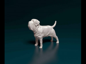 Mastino Napolitano 3D Принт Модель