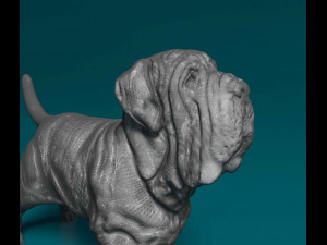 Mastino Napolitano 3D Принт Модель